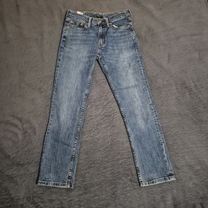 Levi's 511 Blue Color Straight Cut Size W30/L30 Y2K